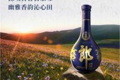 中国两大酱香型白酒之一的青花郎呢？ 品酒的全方位解决方案