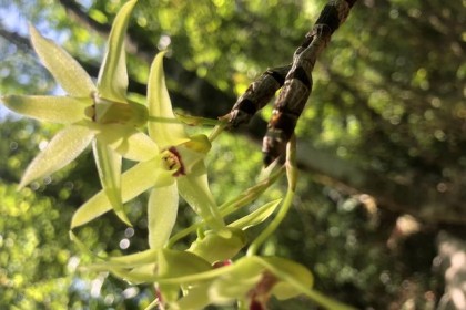 #因为爱，锦绣花开#胸怀天下，十壶（石斛）啤酒