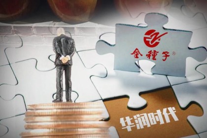 是谁改变了金种子酒的“帅气”？