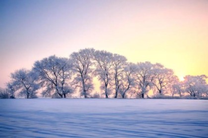 下雪了，36首冬雪诗，带你感受今年的第一场雪