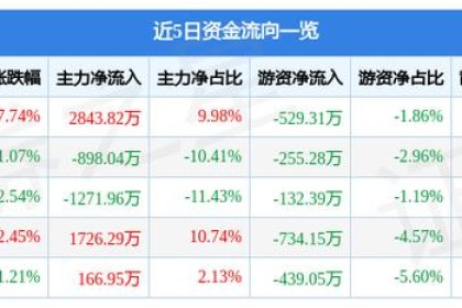 金峰酒业（600616）12月30日主力资金净买入2843.82万元