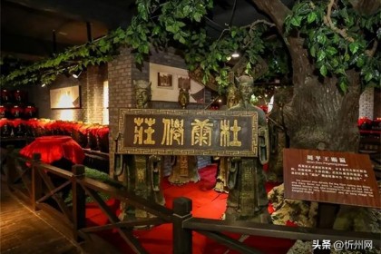 都叫杜康，白水和洛阳哪个更纯？ 专家：势均力敌，建议了解一下