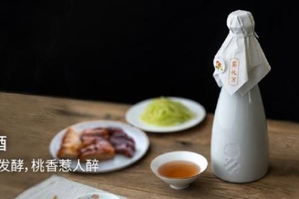 我有一壶酒，足以抚慰尘埃