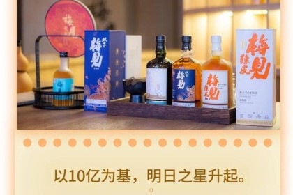 美健为何成为首个10亿新酒品牌？