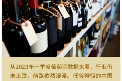 2023年中国葡萄酒如何走出发展低谷？