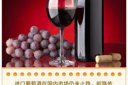 葡萄酒“全球数据”出炉，中国市场“跳水”